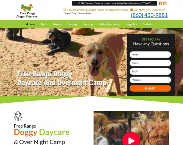 Free Range Doggy Daycare